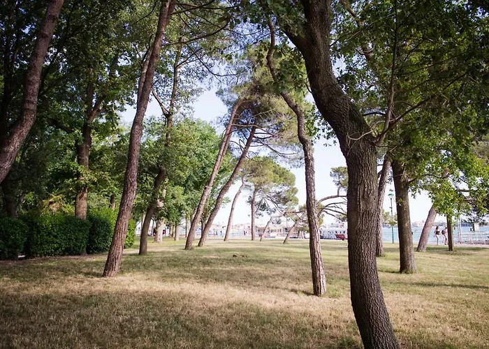 Biennale Bianco & Rosso Venise