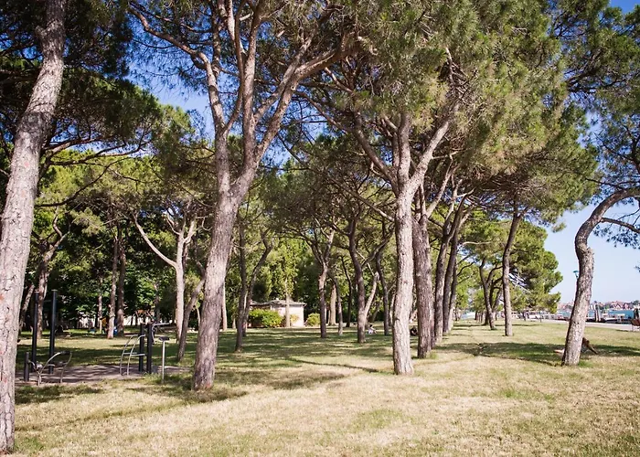 Biennale Bianco & Rosso Appartement *