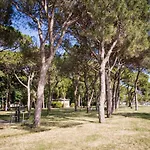 Biennale Bianco & Rosso Apartman *